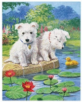 Malowanie Po Numerach Dwa Maltańczyki Nad Jeziorem 50X40 Cm Na Ramie