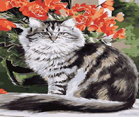 Malowanie Po Numerach Kot I Kwiaty 40x50 Na Ramie
