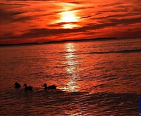 Malowanie Po Numerach Zachód Słońca Nad Polskim Morzem 40X50 Z Ramą