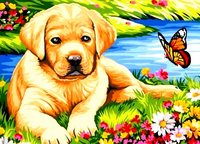 Diamentowa Mozaika 30x40cm Haft Diamentowy Pies Szczeniak Z Motylem