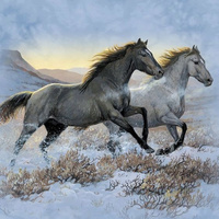 Diamentowa Mozaika Konie Czarny I Biały Haft Kreatywny 30x40 Cm