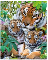 Malowanie Po Numerach Tygrysy, Krzaki 50X40 Cm+ Ra