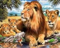Malowanie Po Numerach Lwia Rodzina 40X50