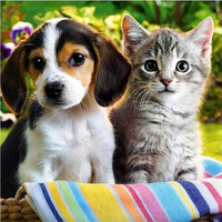 Diamentowa Mozaika Piesek Z Kotkiem W Koszyku 30x40 Cm Kreatywne Diamenty