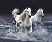 Diamentowa Mozaika Haft Diamentów Białe Konie Woda 30X40 Cm Kreatywne Diamenty