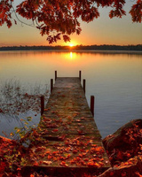 Malowanie Po Numerach Most Jesienią