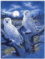 Malowanie Po Numerach Sowy I Księżyc 50X40 Cm Z Ramą Kreatywne
