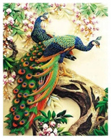 Malowanie Po Numerach Pawie 50X40 Cm Na Ramie