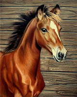 Malowanie Po Numerach Młody Koń Klacz 40X50 Cm Na Ramie Kreatywne