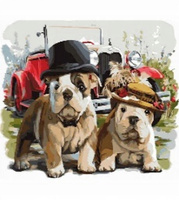 Malowanie Po Numerach Buldogi Psy W Kapeluszach 50X40 Cm Z Ramą Kreatywne