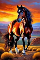 Malowanie Po Numerach Koń Na Tle Zachodzącego Słońca 50X40 Z Ramą