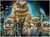 Diamentowa Mozaika Haft Diamentowy Sowy Koty Persy 30X40 Cm Kreatywne Diamenty