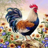 Malowanie Po Numerach Kogut W Kwiatach 40X50 Cm Na Ramie Kreatywne