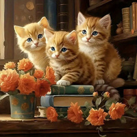 Malowanie Po Numerach Trzy Rude Koty 50X40 Cm Na Ramie Kreatywne