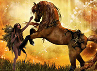 Diamentowa Mozaika Haft Diamentowy Koń Z Wróżką 30X40 Cm Kreatywne Diamenty