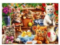 Malowanie Po Numerach Kotki