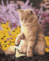 Malowanie Po Numerach 40 x 50 Cm Kot Z Motylem