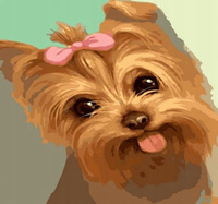 Malowanie Po Numerach Piesek York Z Kokardą 50X40 Cm Z Ramą Kreatywne