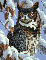 Malowanie Po Numerach Sowa Na Tle Ośnieżonych Gałęzi 50X40 Z Ramą Kreatywne