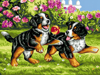 Malowanie Po Numerach Psy Zabawa Z Piłką 40x50