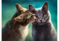 Diamentowa Mozaika Portret Pary Dwóch Kotów 30x40Cm Kreatywne Diamenty