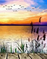 Malowanie Po Numerach Zachód Słońca Nad Jeziorem 40X50 Cm Na Ramie