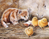 Malowanie Po Numerach Kotek Z Pisklętami W Kurniku