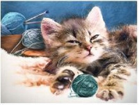 Diamentowa Mozaika Śpiący Mały Kotek Z Włóczką 30x40Cm Kreatywne Diamenty