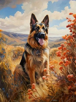 Malowanie Po Numerach Pies Owczarek W Górach 40X50 Cm Na Ramie Kreatywne