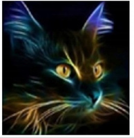 Malowanie Po Numerach Kot Czarny