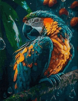 Malowanie Po Numerach 50X40 Cm Kreatywne Z Ramą Papuga W Deszczu