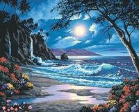 Malowanie Po Numerach Plaża Rajska Nocą 50X40 Cm Z Ramą Kreatywne