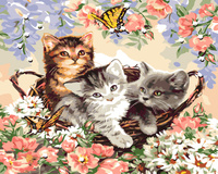 Malowanie Po Numerach Trzy Koty W Koszyczku Wśród Kwiatów 40X50 Cm Na Ramie