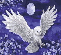 Malowanie Po Numer Sowa I Księżyc 40 x 50