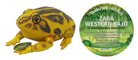 ŻABA WESTERN BAJO 21 CM DŁUGOŚCI
