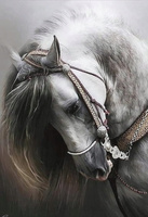 Diamentowa Mozaika Portret Białego Konia 30x40Cm Kreatywne Diamenty