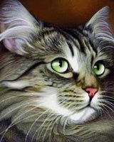 Malowanie Po Numerach Kot Z Zielonymi Oczami 40X50 Cm Na Ramie Kreatywne