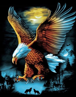 Malowanie Po Numerach Orzeł Nocą 50X40 Cm Z Ramą Kreatywne