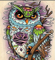 Diamentowa Mozaika Sowa 30x40