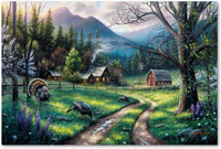 Malowanie Po Numerach Dom W Lesie Zagroda Dla Indyków 50X40 Rama Kreatywne
