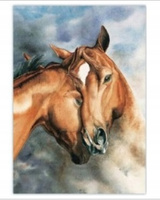 Malowanie Po Numerach Konie