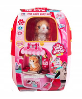 Koci Salon Piękności Rudy Kot Przychodnia Dla Zwierząt Walizka 3 W 1