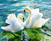 Malowanie Po Numerach Para Łabędzi Wśród Wodnych Liści 50X40 Z Ramą