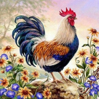 Diamentowa Mozaika Dumny Kogut Kolorowy 30x40 Cm Kreatywne Diamenty