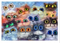 Malowanie Po Numerach Koty