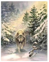 Malowanie Po Numerach Wilk W Lesie Zima 40x50 CM Z Ramą Kreatywne