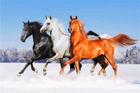 Diamentowa Mozaika 3 Rumaki Konie Biegnące 30X40 Cm Kreatywne Diamenty