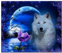 Diamentowa Mozaika Magiczny Wilk I Księżyc Haft Kreatywny 30x40 Cm