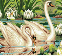 Norimpex Malowanie Po Numerach Łabędzie W Stawie