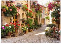 Diamentowa Mozaika Włoska Uliczka Z Kwiatami 30x40Cm Kreatywne Diamenty